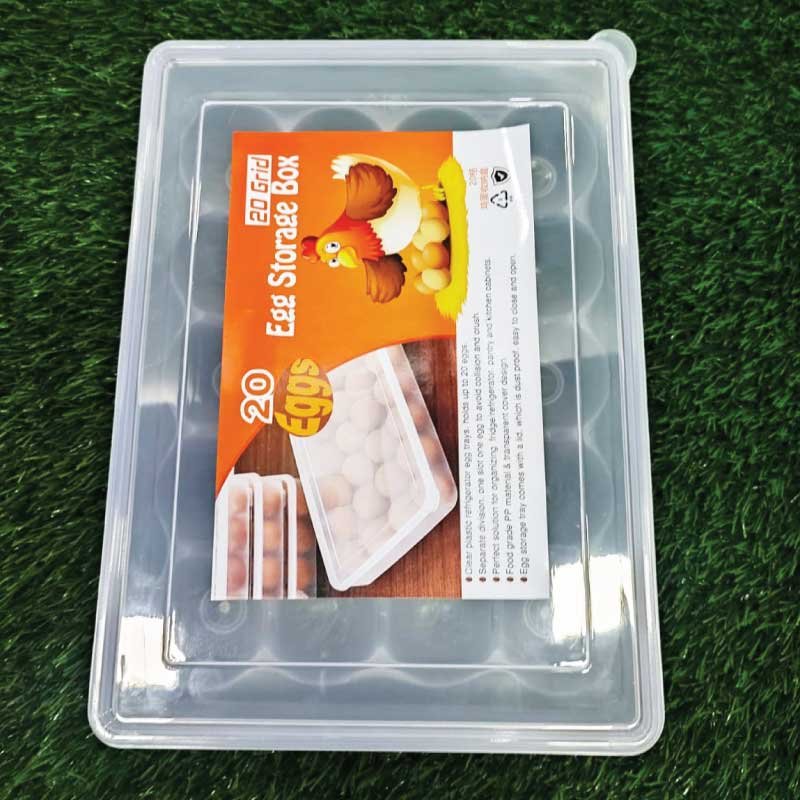 20-Grid-Egg-Box-F3