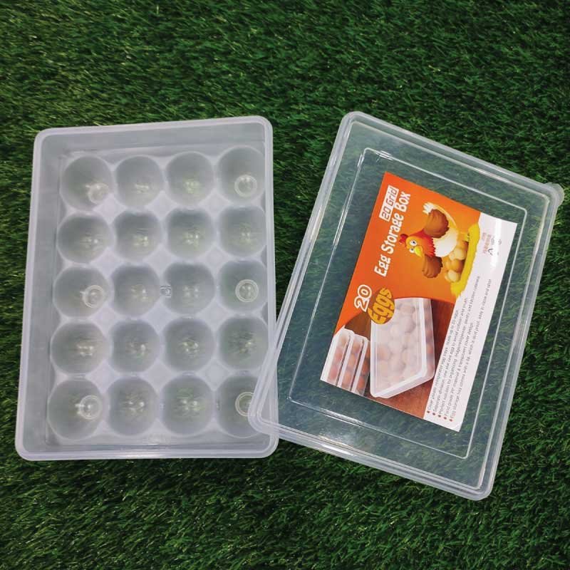 20-Grid-Egg-Box-F5